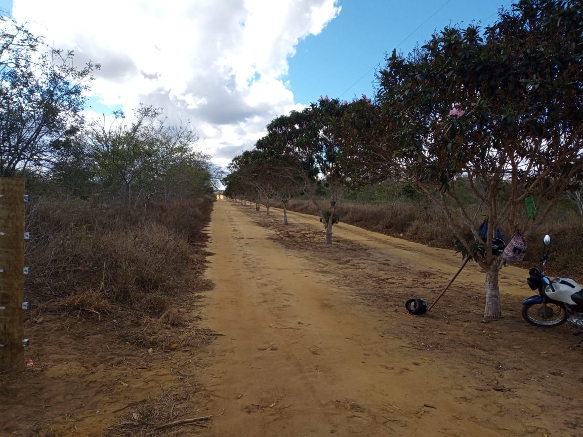 VENDO OU TROCO Sítio de 20 mil m² dentro de cond. fechado já com cerca, no Terra Estância das Rosas ao lado do Haras Residence  em Vitória da Con - foto 8