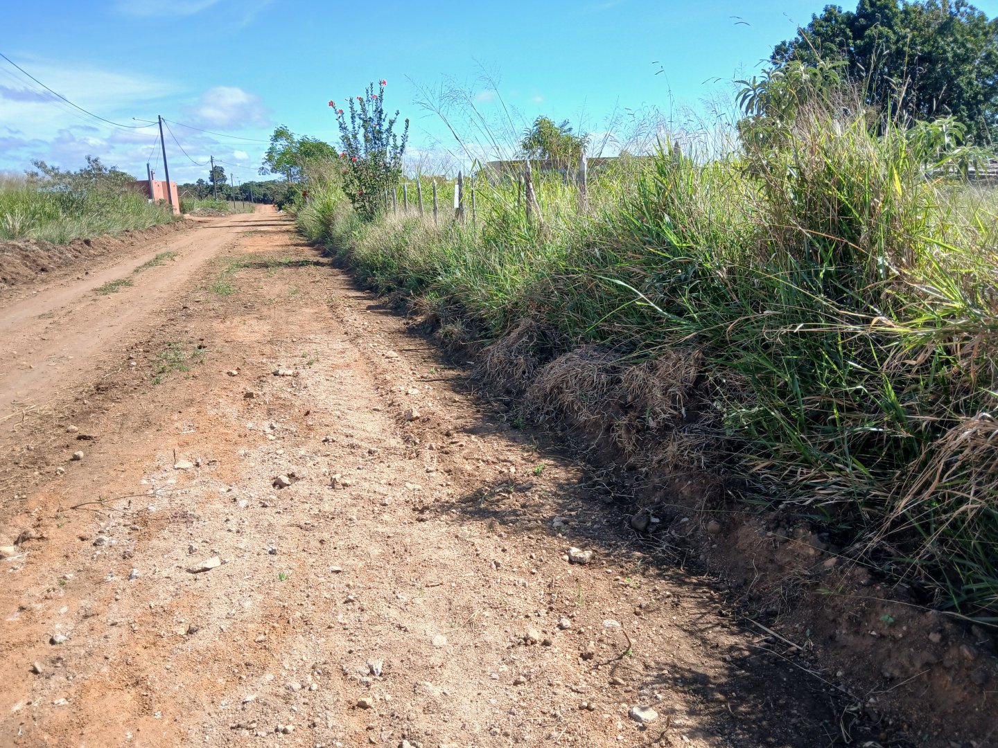 Lote 1000m² em Barra do Choça  Ba. - foto 7