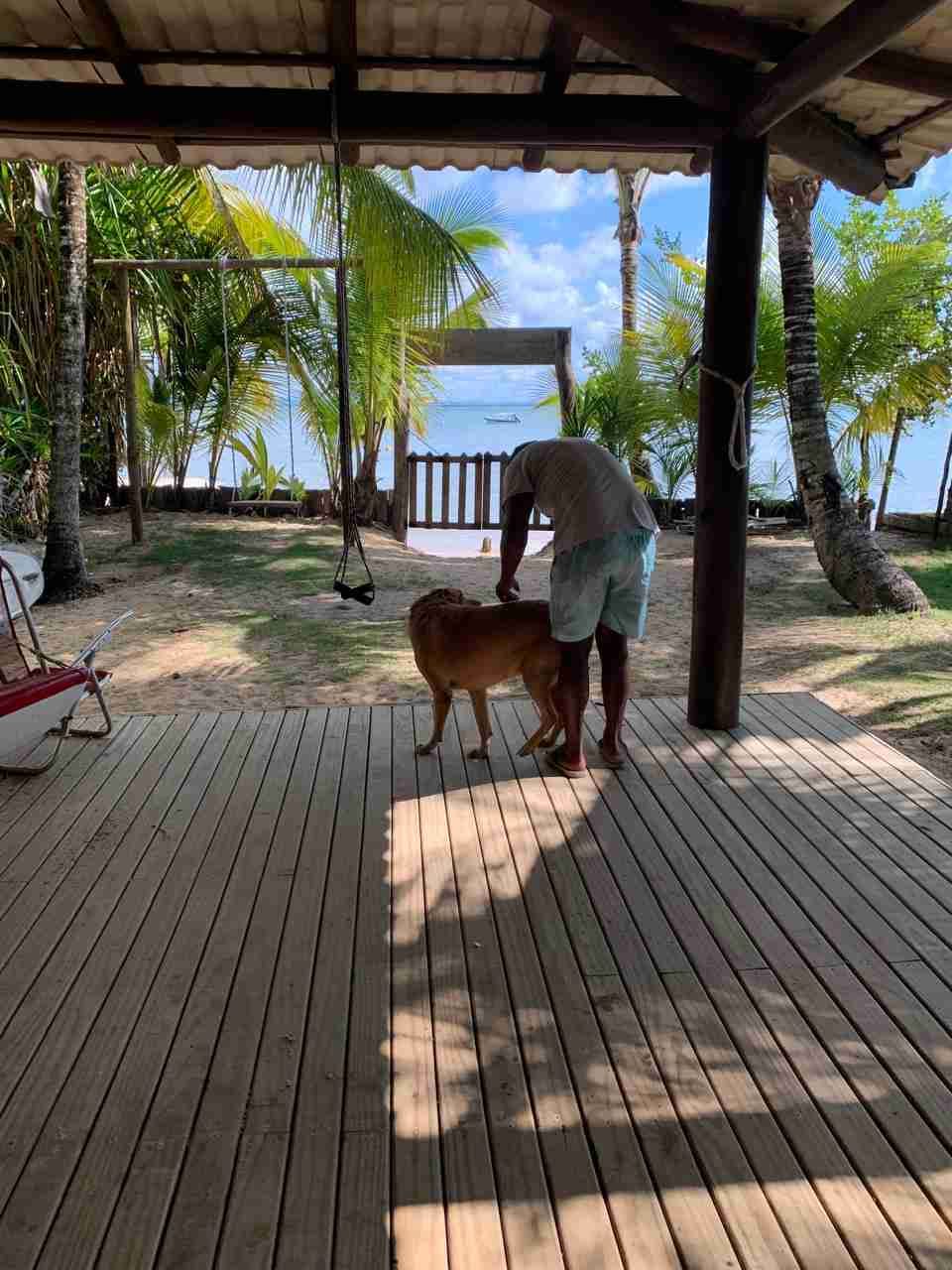 Casa, terreno à Venda Em Barra Grande, Vila, Maraú, BA - foto 7