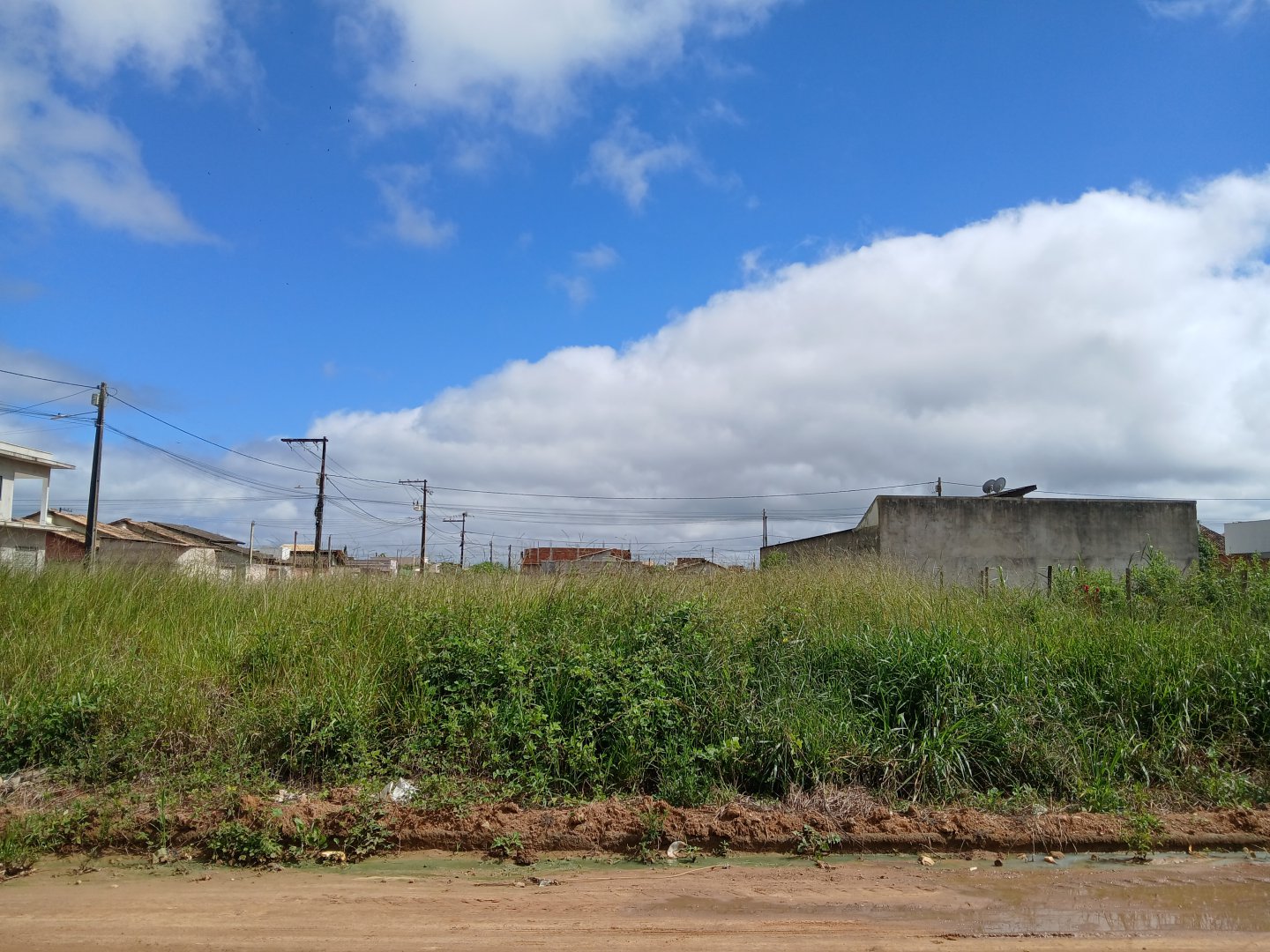 Lote de Terreno Avenda no Bairro Cidade Jardim - foto 7