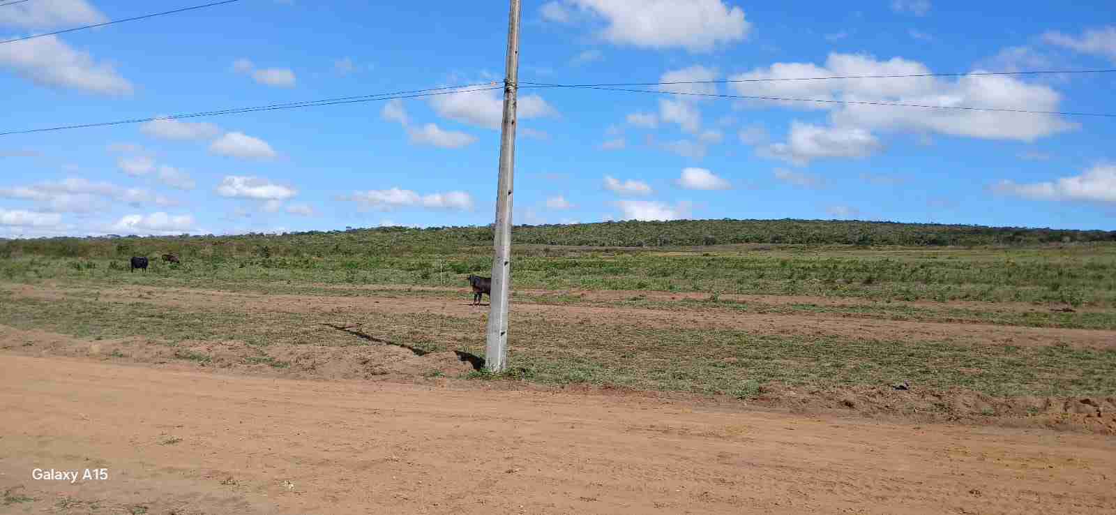 Lote à Venda com  área 8 mil metros quadrados na Rodovia Barra do Choça, Estiva , Vitória da Conquista, BA - foto 8