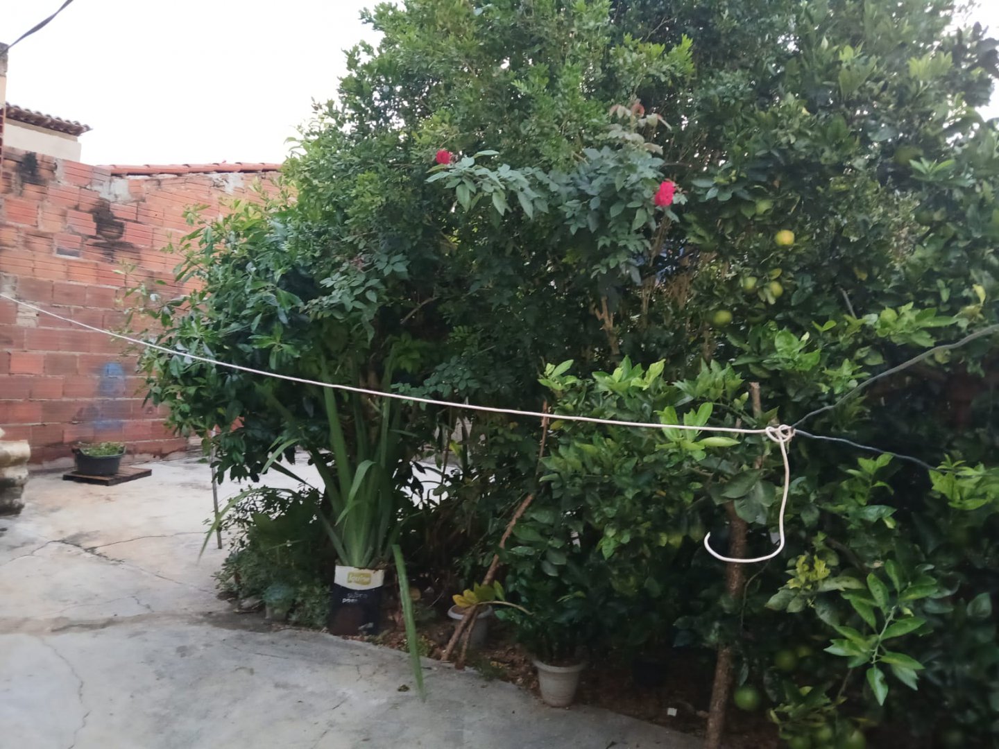 Oportunidade Imperdível! Casa com 110m² à Venda em Ouro Verde – Barra do Choça - foto 7
