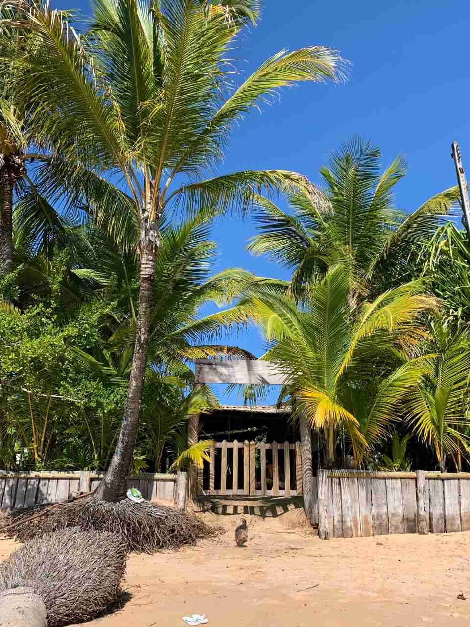 Casa, terreno à Venda Em Barra Grande, Vila, Maraú, BA - foto 8