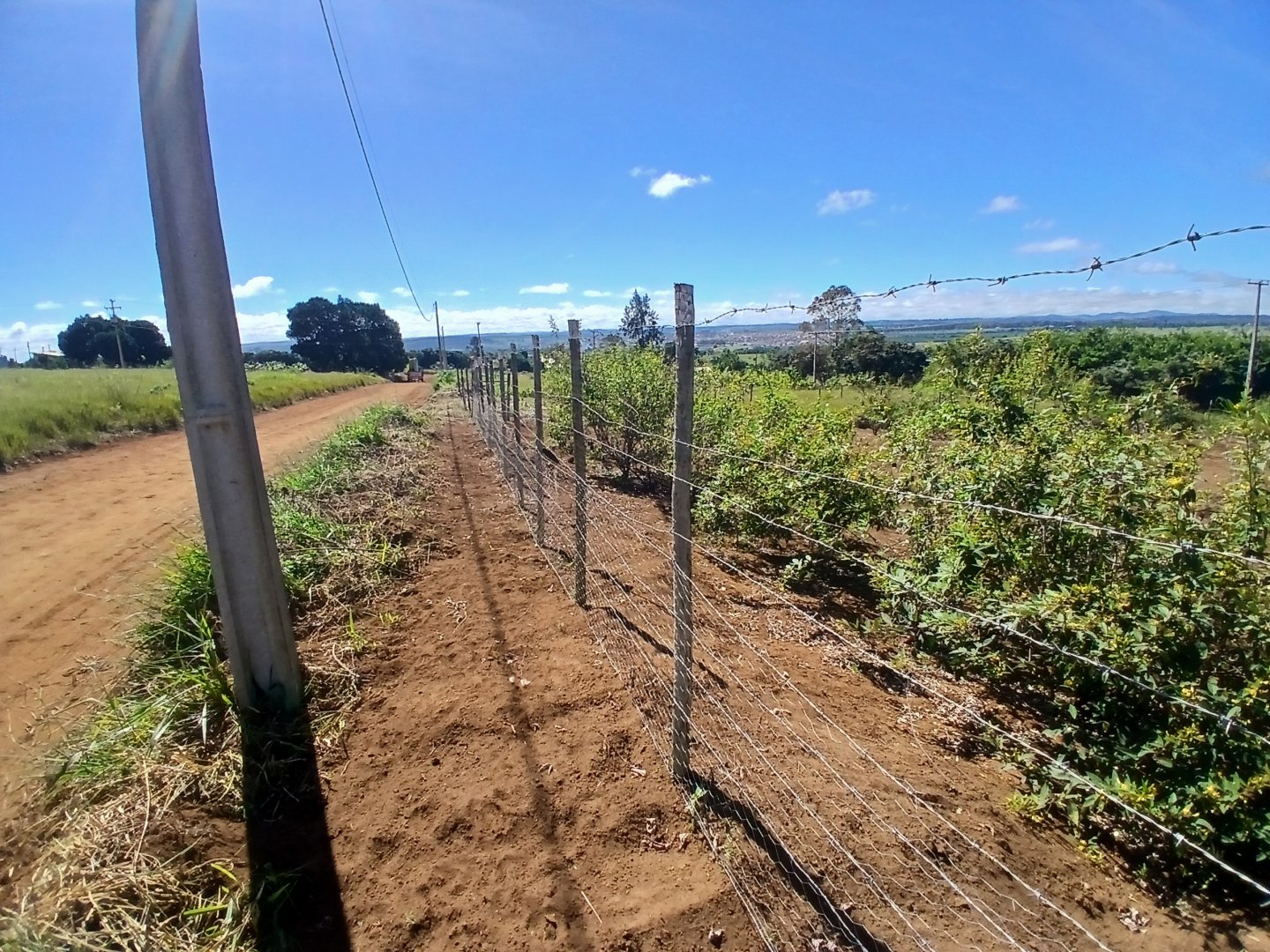 Lote 1000m² em Barra do Choça  Ba. - foto 8