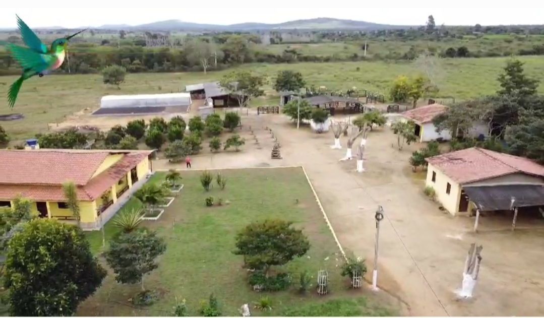 Otima Fazenda à Venda, Zona Rural , Barra do Choça, BA - foto 9