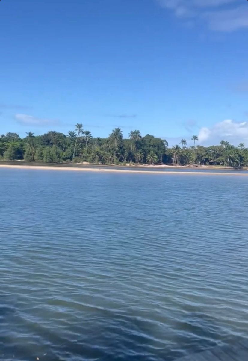 Terreno à venda, em Taipu de Fora, Península de Maraú, Barra Grande, um dos destinos mais cobiçados do Sul da Bahia. - foto 10
