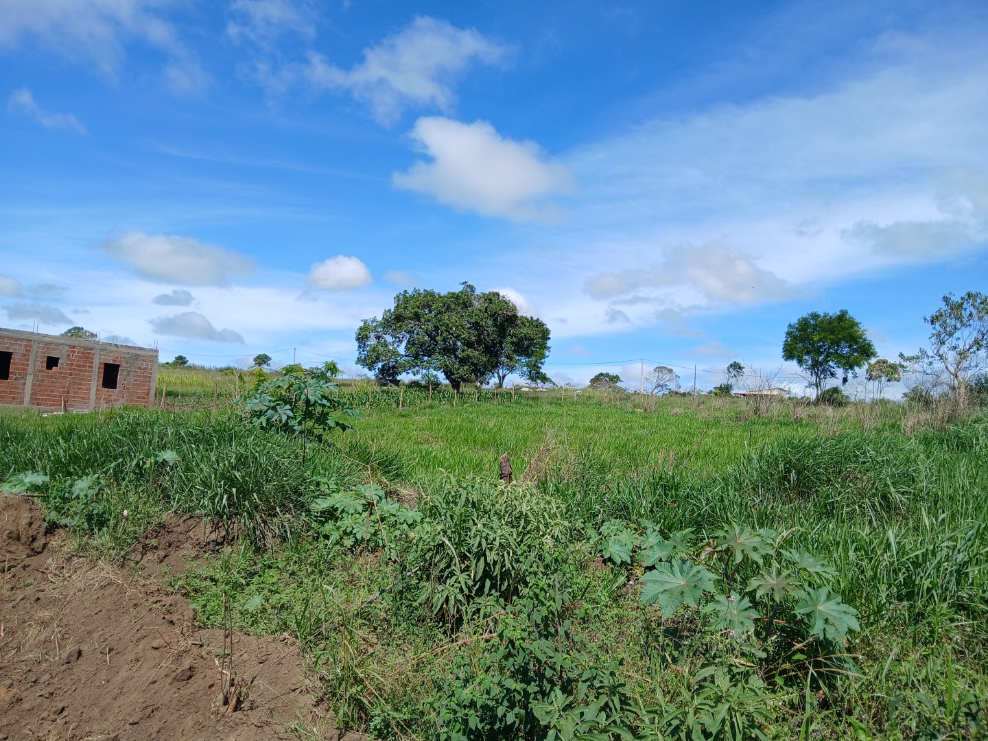 Lote 1000m² em Barra do Choça Ba. - foto 9
