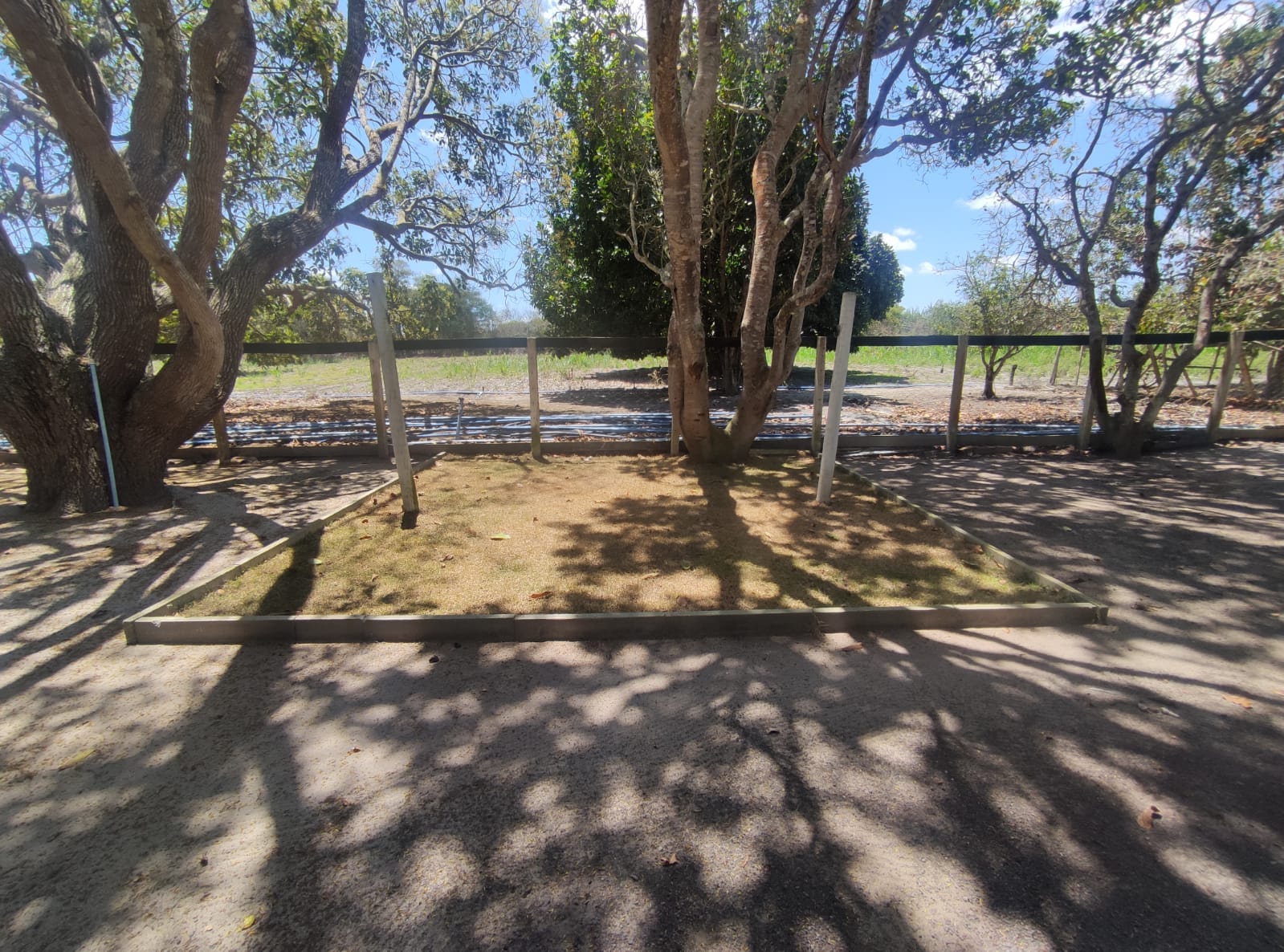 Sítio a venda na Lagoa das Flores com 2 casas, árvores frutíferas, poço artesiano, irrigação, baías para cavalos, tanque de peixe. Pertinho da ci - foto 10