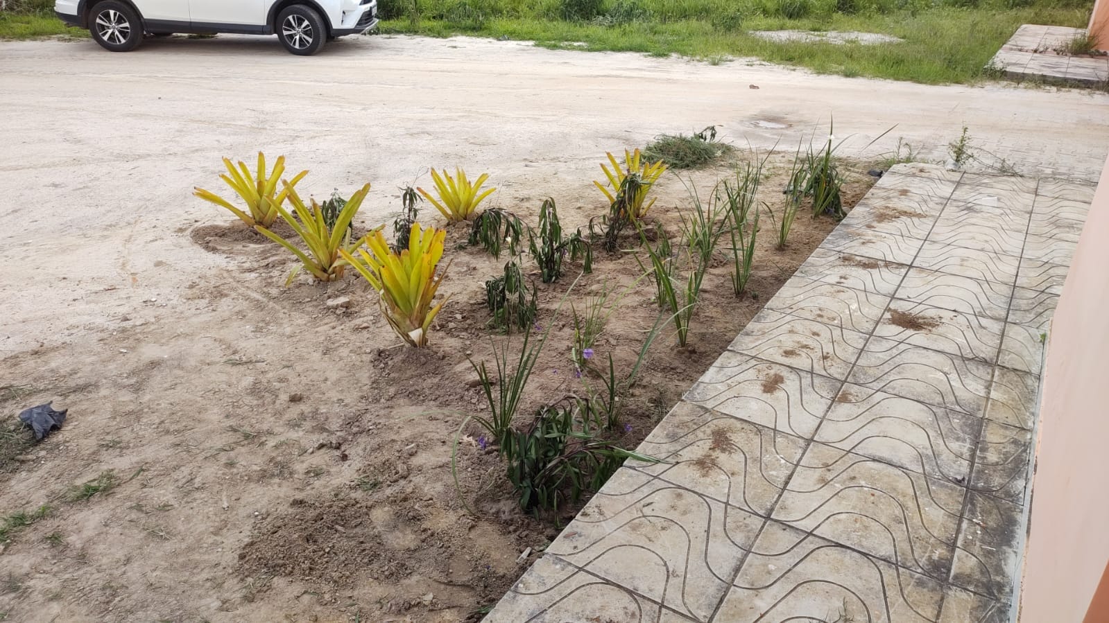 VENDO OU TROCO Sítio de 20 mil m² dentro de cond. fechado já com cerca, no Terra Estância das Rosas ao lado do Haras Residence  em Vitória da Con - foto 10