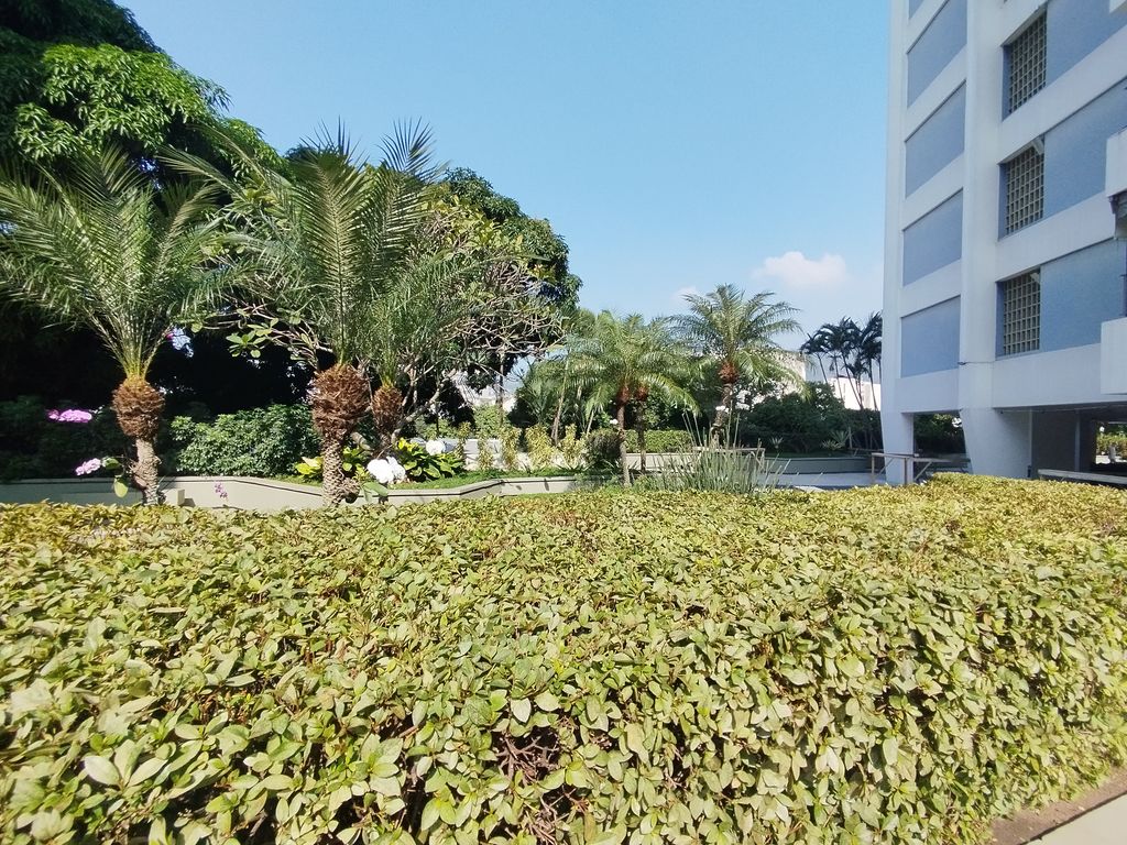 Imagens do imóveis Apartamento sala dois quartos dependência varanda Santa Amélia Rio de Janeiro