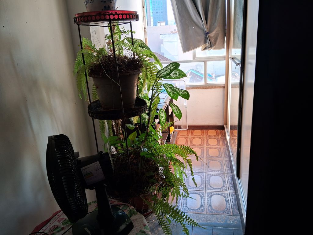 Imagens do imóveis Apartamento de dois quartos Centro do Rio de Janeiro Lapa