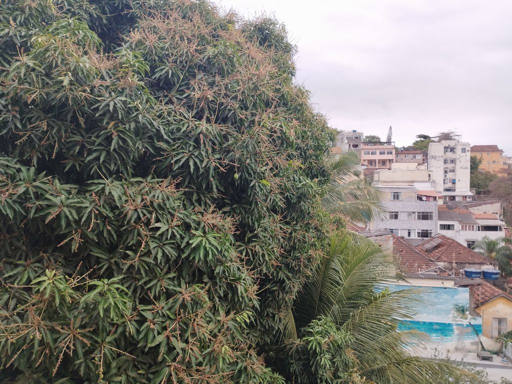 Imagens do imóveis Apartamento de Sala Três Dormitórios para Venda  em Centro Rio de Janeiro