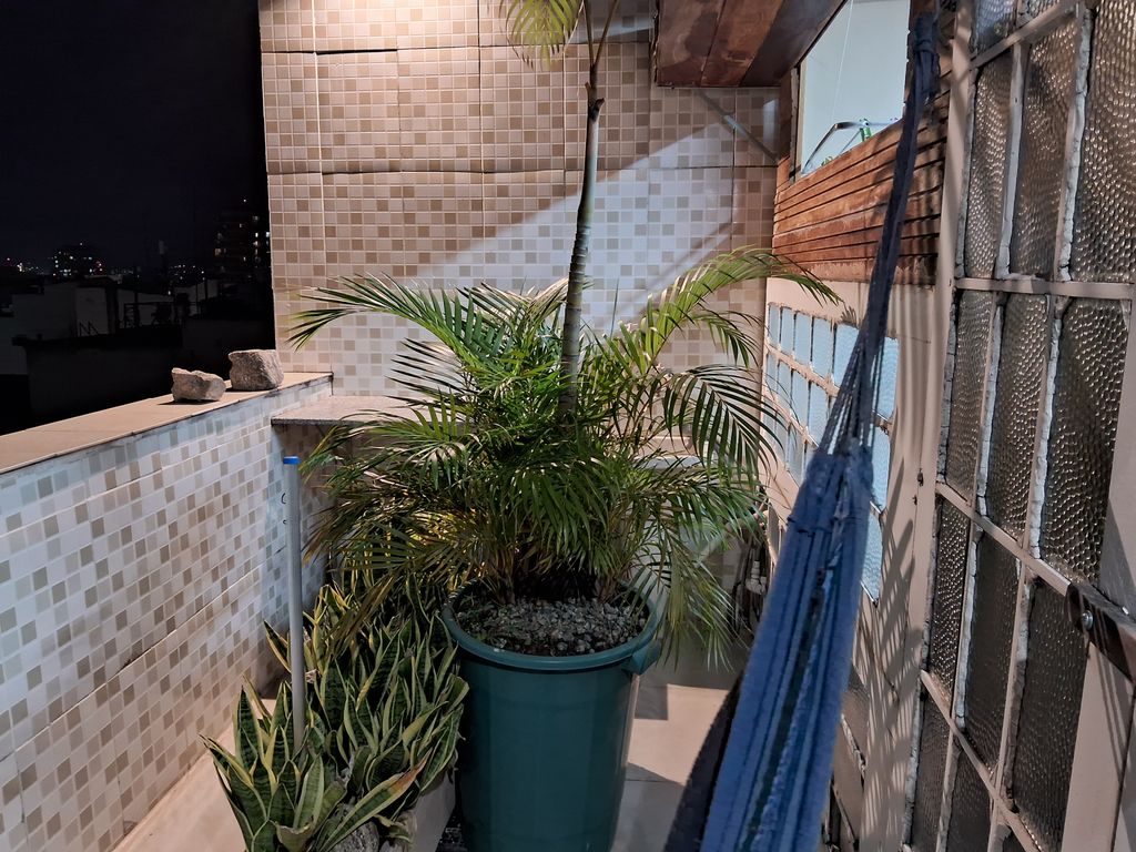 Imagens do imóveis Linda cobertura na rua do Riachuelo Centro do Rio de Janeiro