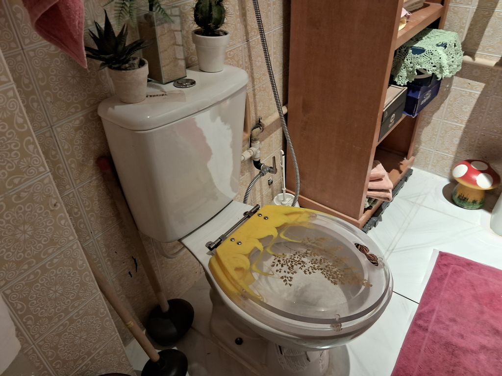 Imagens do imóveis Linda cobertura na rua do Riachuelo Centro do Rio de Janeiro