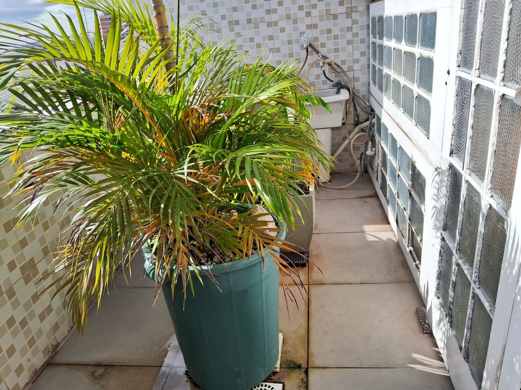 Imagens do imóveis Linda cobertura na rua do Riachuelo Centro do Rio de Janeiro