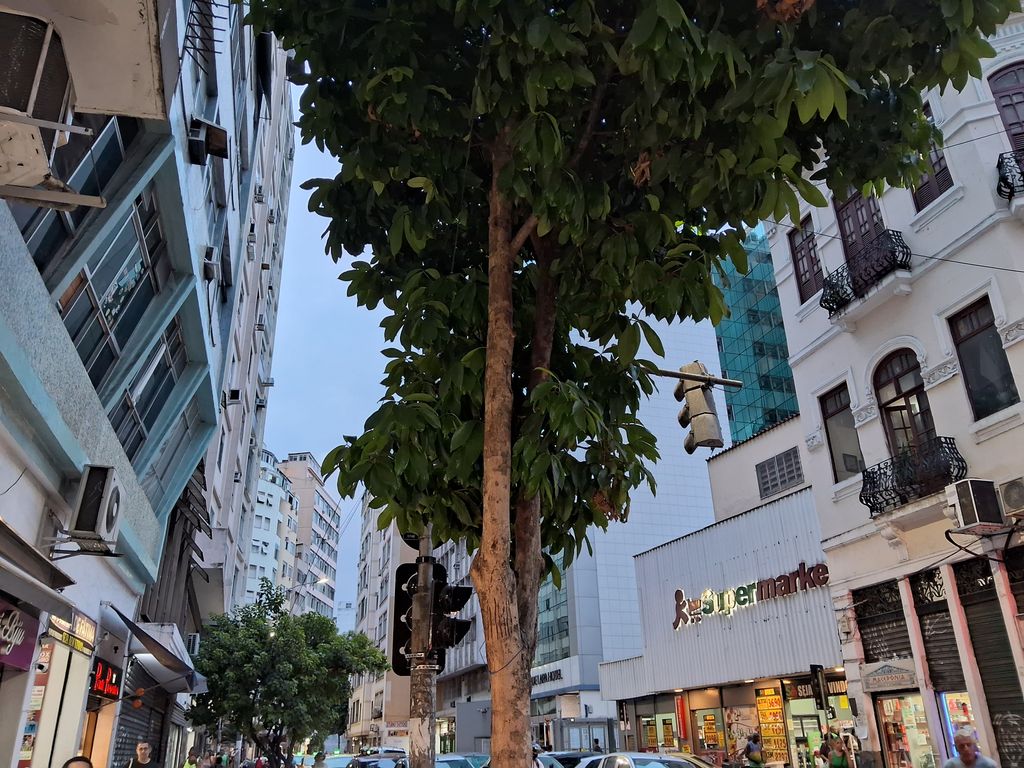 Imagens do imóveis Apartamento de dois quartos Centro do Rio de Janeiro