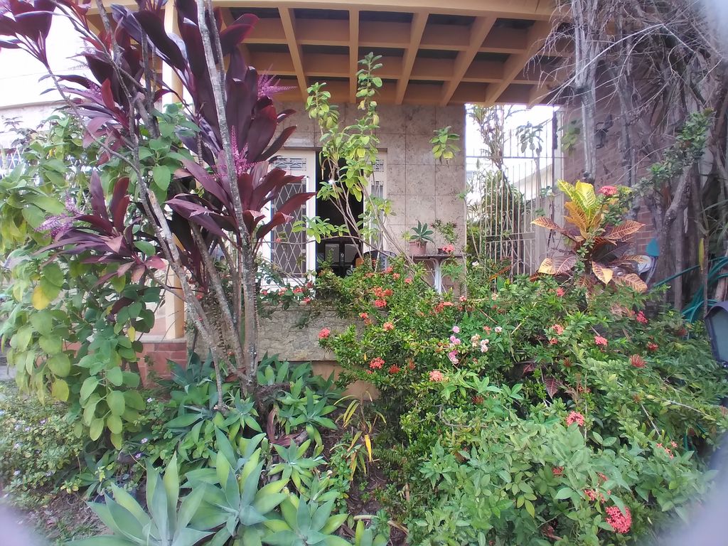 Imagens do imóveis Casa com 3 quartos, garagem com espaço para 3 carros e churrasqueira 100 m²