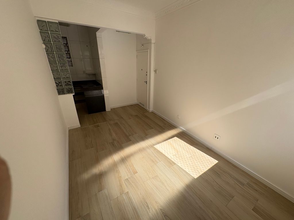 Imagens do imóveis Apartamento Sala e Quarto com Dependência completa no Flamengo