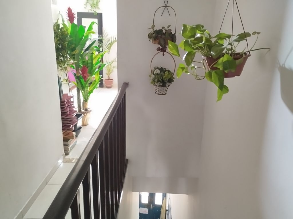 Imagens do imóveis Casa de dois quartos em Catumbi Rio de Janeiro para venda