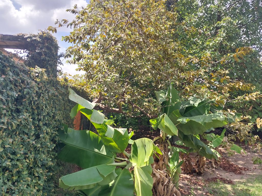 Imagens do imóveis Excelente casa com dois quartos
