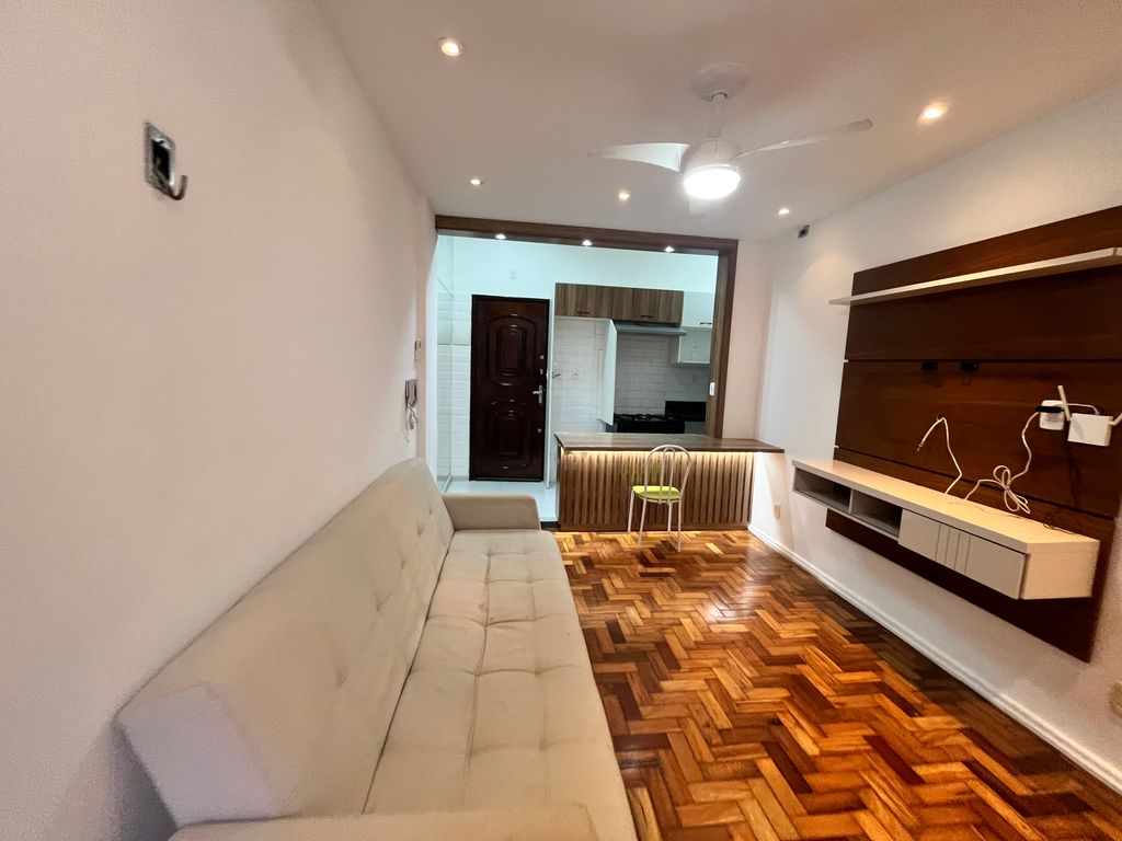 Imagens do imóveis Apartamento Quarto e Sala Totalmente Reformado na Rua Riachuelo Centro RJ