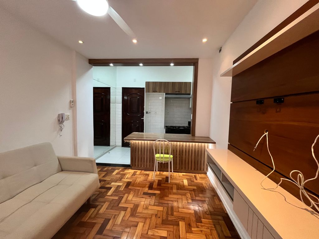 Imagens do imóveis Apartamento Quarto e Sala Totalmente Reformado na Rua Riachuelo Centro RJ
