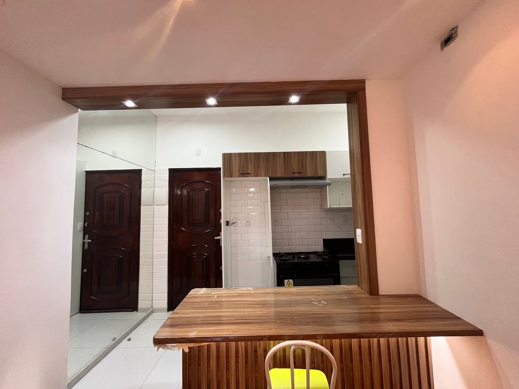 Imagens do imóveis Apartamento Quarto e Sala Totalmente Reformado na Rua Riachuelo Centro RJ