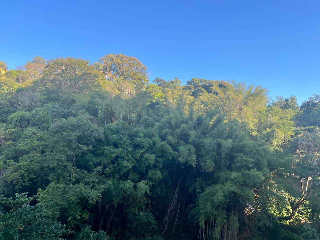 Imagens do imóveis Apartamento Quarto e Sala Totalmente Reformado na Rua Riachuelo Centro RJ