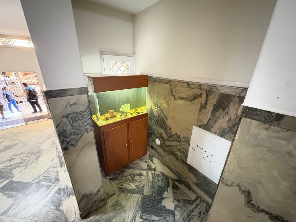 Imagens do imóveis Excelente Apartamento com sala e 3 quartos no Bairro de Fátima