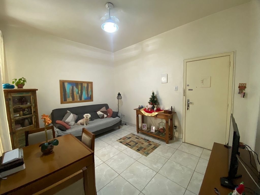 Imagens do imóveis Apartamento de Quarto e Sala Amplo na Rua Riachuelo no Centro do Rio de Janeiro