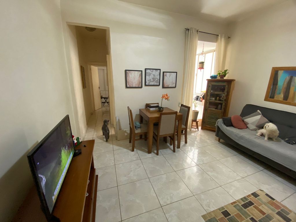 Imagens do imóveis Apartamento de Quarto e Sala Amplo na Rua Riachuelo no Centro do Rio de Janeiro