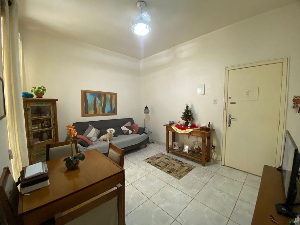 Imagens do imóveis Apartamento de Quarto e Sala Amplo na Rua Riachuelo no Centro do Rio de Janeiro