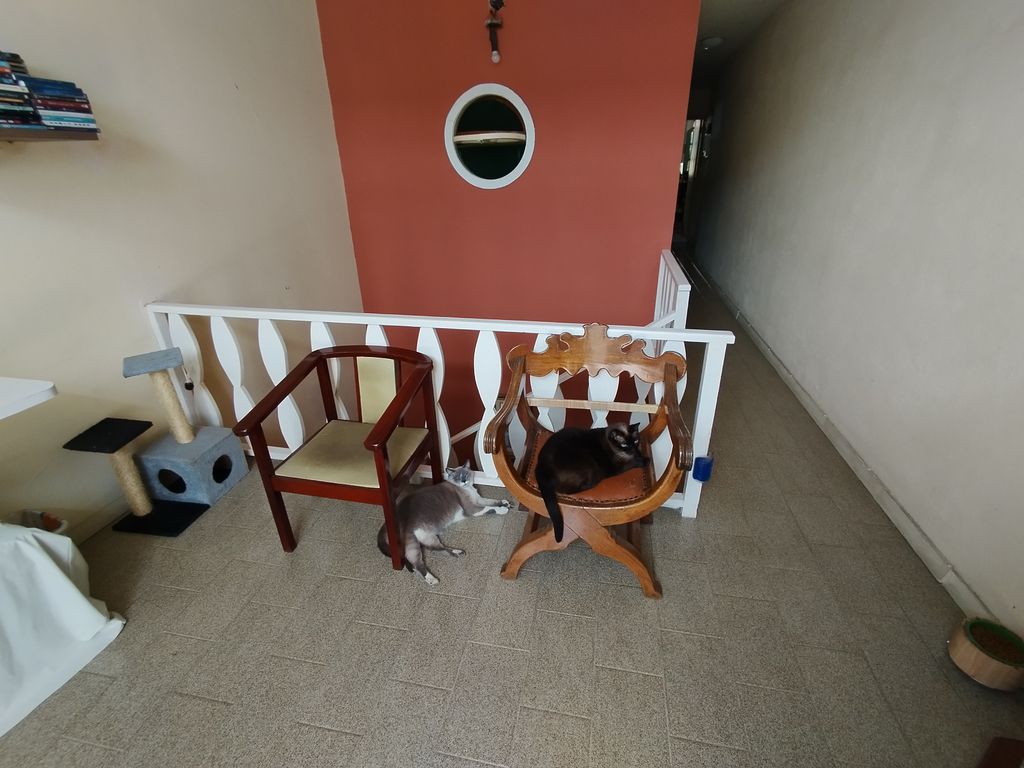 Imagens do imóveis Casa Duplex com três quartos em Catumbi Rio de Janeiro, para venda