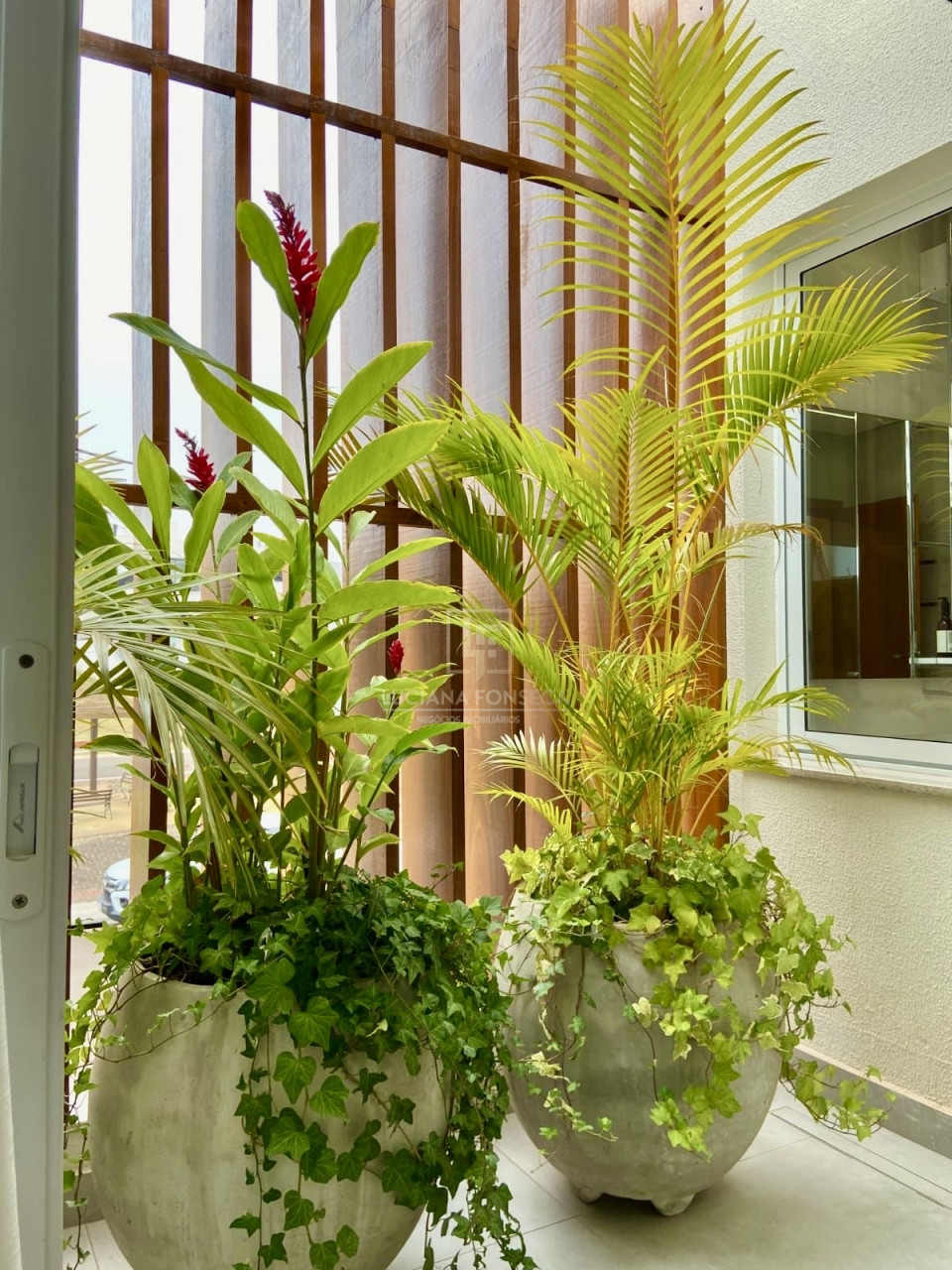 Imagens do imóveis TAUA ARANGUA  CASA VENDE
