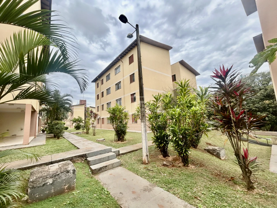 Imagens do imóveis Apartamento Á Venda Margens Do Lago Igapó Londrina