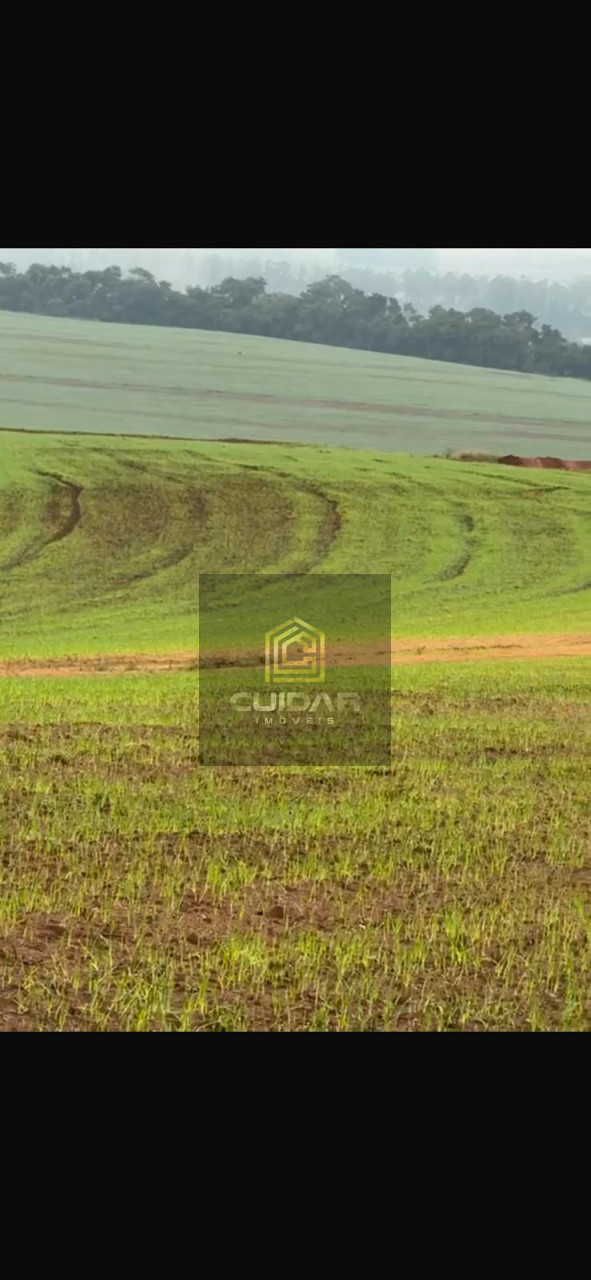 Imagens do imóveis Fazenda na Região de Ribeirão do Pinhal
