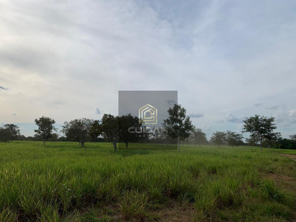 Imagens do imóveis Fazenda em Poconé MT