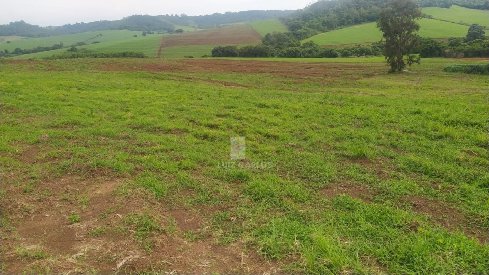 Imagens do imóveis Sitio em Assai