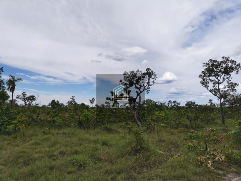Imagens do imóveis Fazenda em Poconé MT