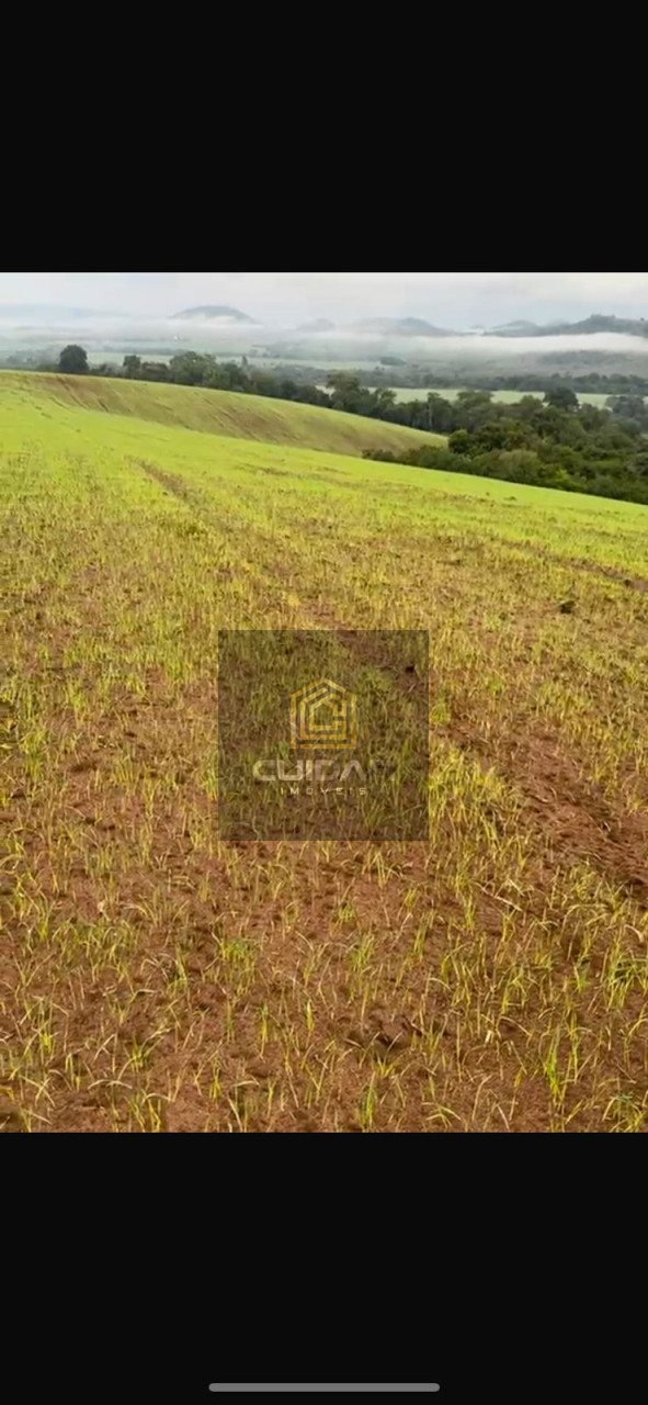 Imagens do imóveis Fazenda na Região de Ribeirão do Pinhal