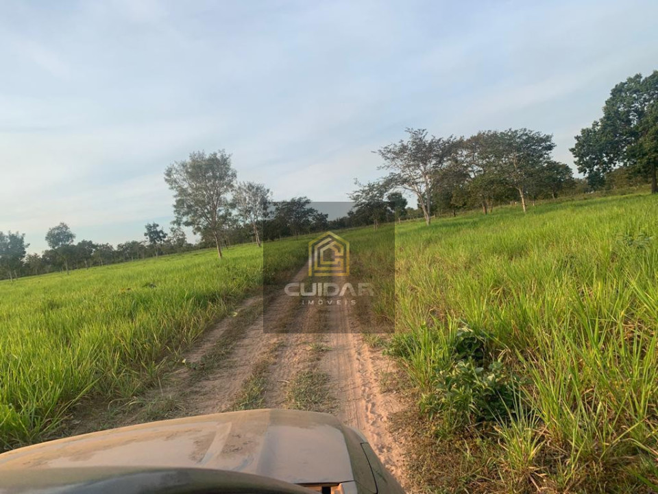 Imagens do imóveis Fazenda em Poconé MT