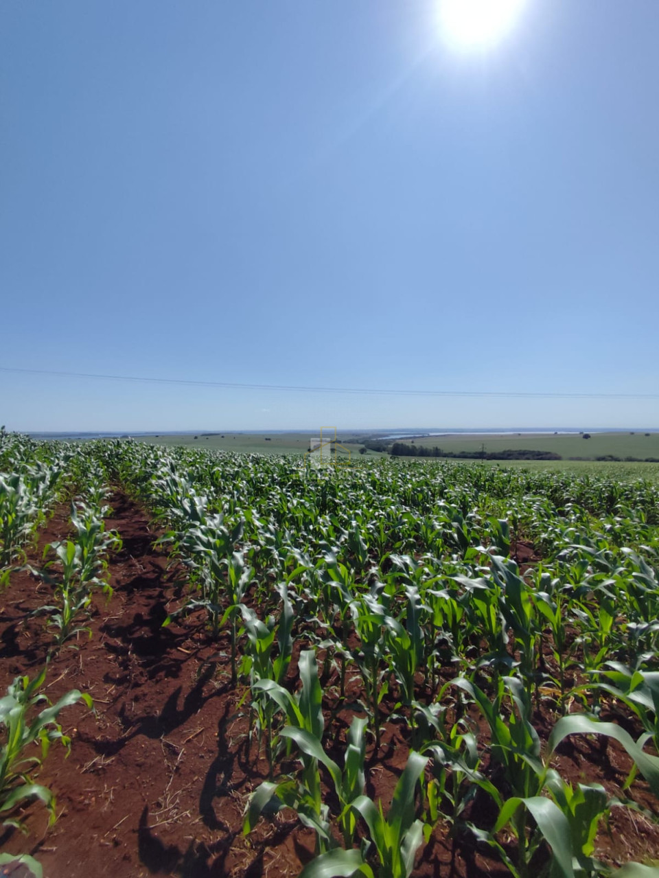Imagens do imóveis Sitio a venda em Primeiro de Maio