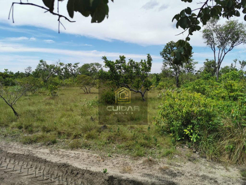 Imagens do imóveis Fazenda em Poconé MT