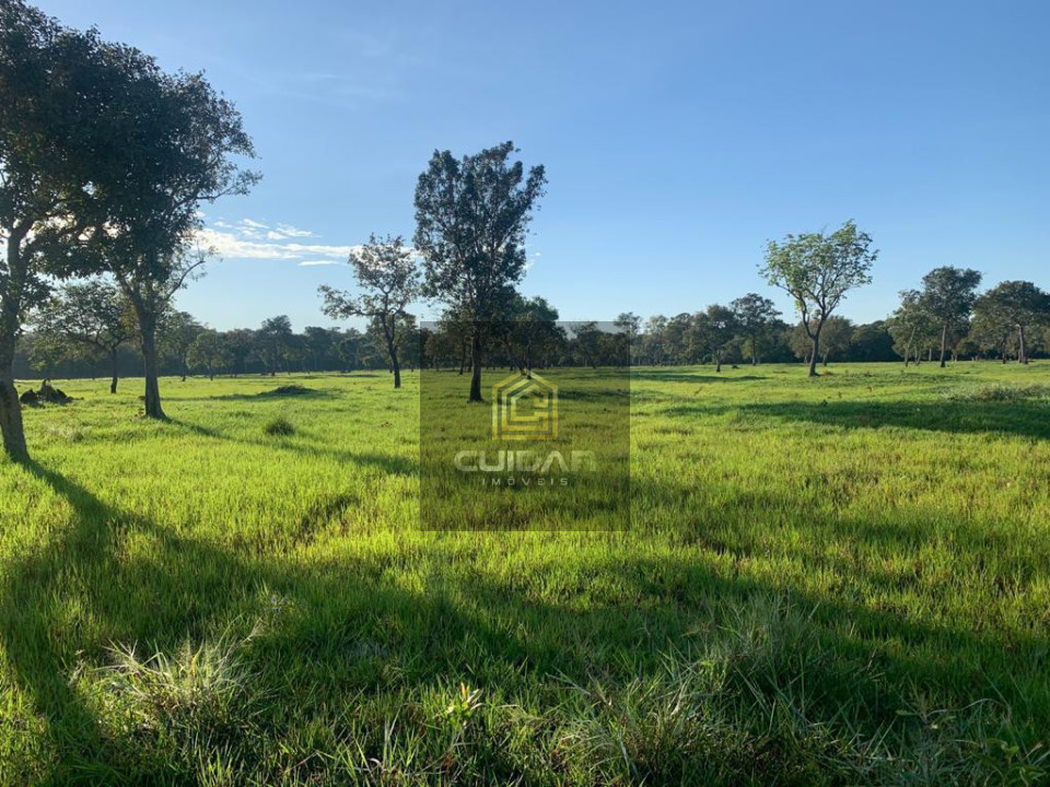 Imagens do imóveis Fazenda em Poconé MT