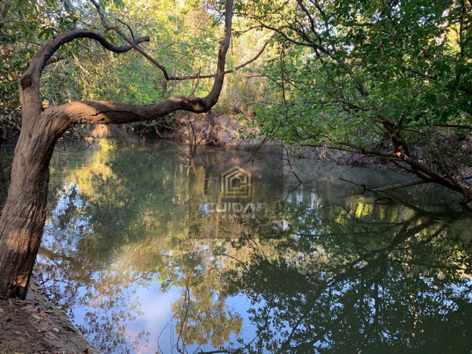 Imagens do imóveis Fazenda em Poconé MT