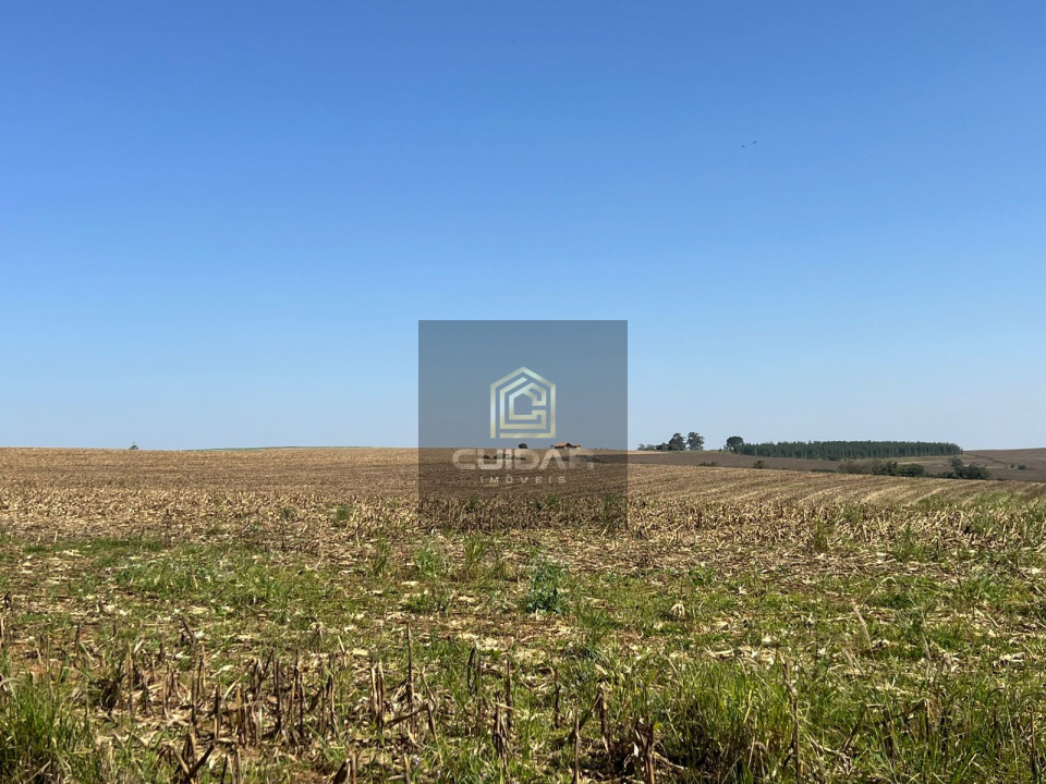 Imagens do imóveis Fazenda em Guapirama