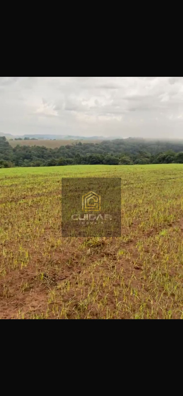 Imagens do imóveis Fazenda na Região de Ribeirão do Pinhal