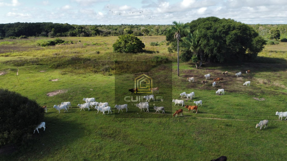 Imagens do imóveis Fazenda na região de Barão de Melgaço MT