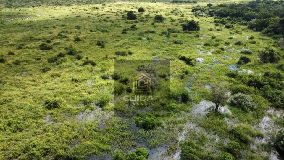 Imagens do imóveis Fazenda na região de Barão de Melgaço MT