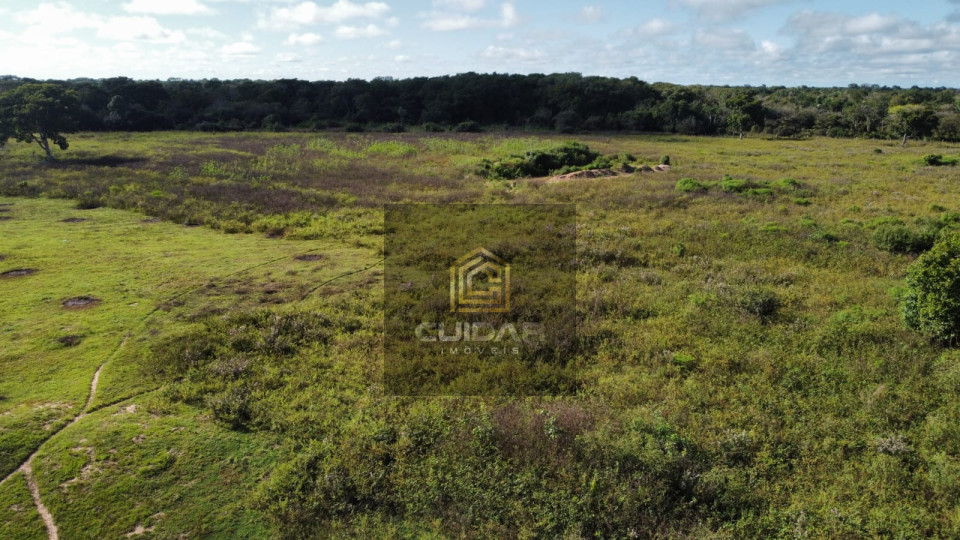 Imagens do imóveis Fazenda na região de Barão de Melgaço MT